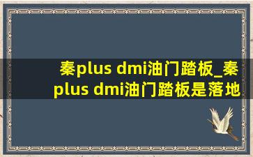 秦plus dmi油门踏板_秦plus dmi油门踏板是落地式的吗